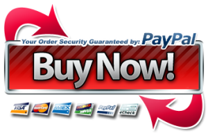 Paypal-Buy-Now-button-300x192